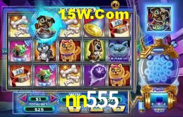 nn555 Brasília - Betting Features